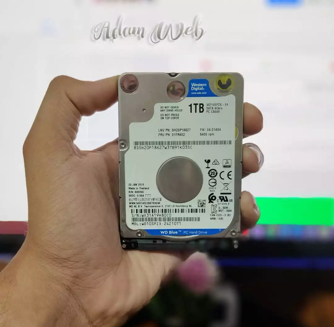 ديسك دير 1TB